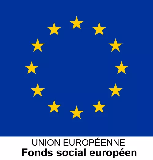 LE_DRAPEAU_EUROPEEN__PROJETS_FSE_HORS_IEJ_.jpg