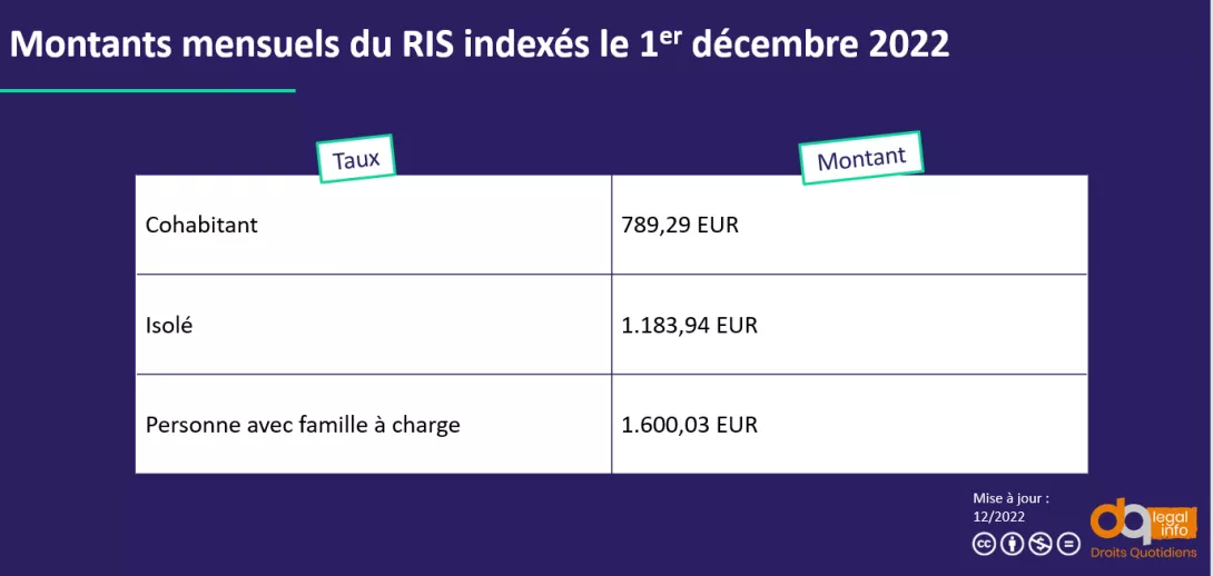 indexation RIS.PNG